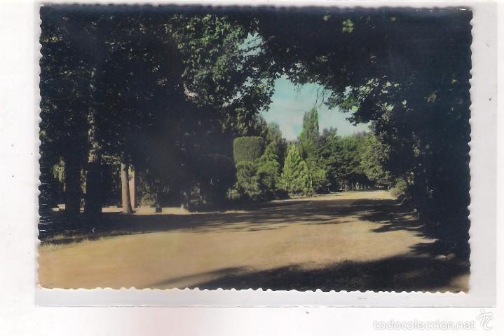 Postales: POSTAL DE ALMAZAN ,PASEO DE LA ARBOLEDA .