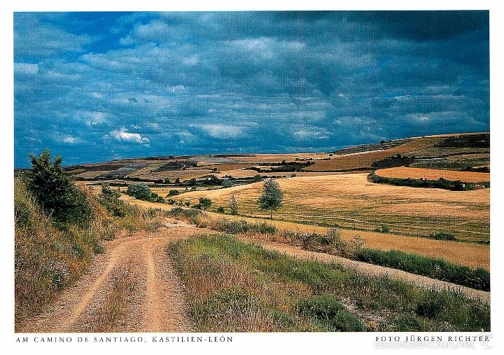 Postales: camino de santiago - Foto 1