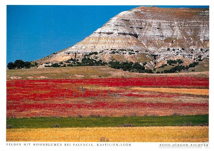 Postales: palencia - Foto 1
