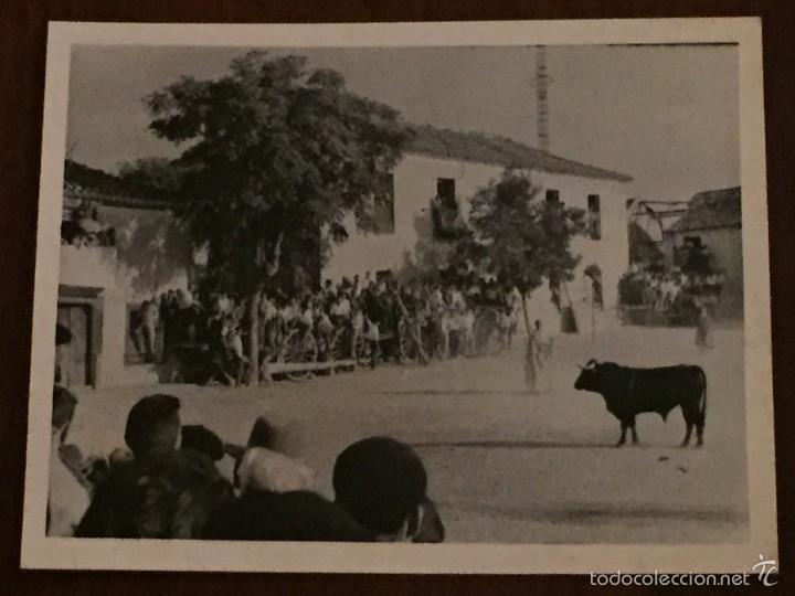 Postales: FOTOGRAFIA POSIBLEMENTE DE PUEBLO DE AVILA 1954 , FIESTAS CON TOROS MIDE 10,5 X 7,5 CMS. POR DETRAS