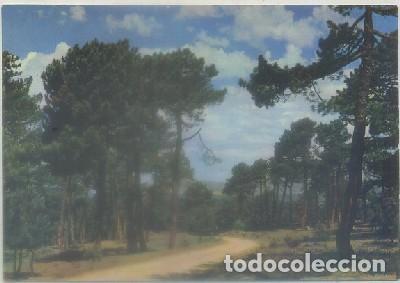 Postales: POSTAL DE AVILA. NAVAS DEL MARQUES. MURALLAS   P-CASTLE-1074