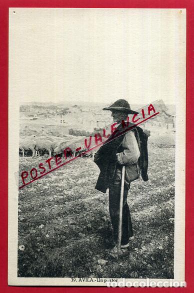 Postales: POSTAL AVILA, UN PASTOR, P84563