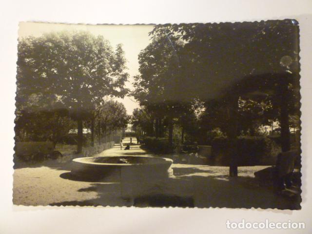 Postales: POSTAL PARQUE (AREVALO). ED. ALARDE. SIN CIRCULAR.