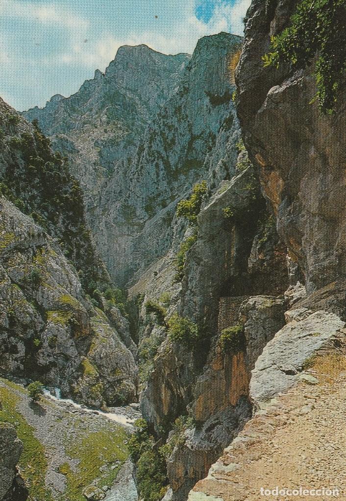 Postales: N&ordm; 29501 POSTAL LEON DESFILADERO DEL RIO CARES RUTA CAIN