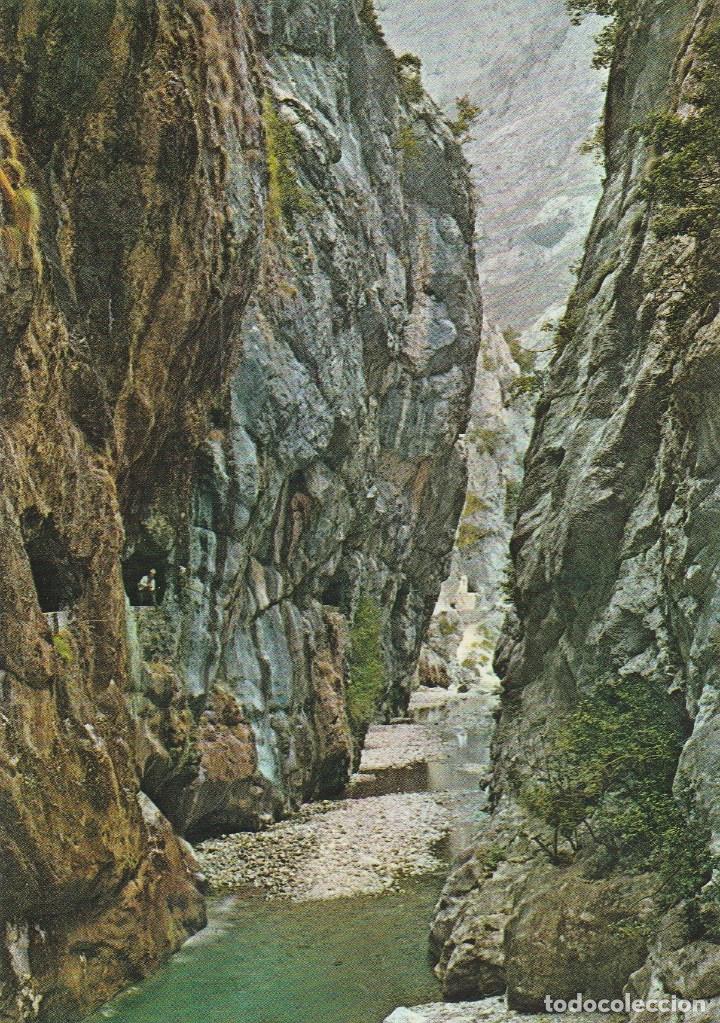 Postales: N&ordm; 29495 POSTAL GARGANTA DEL RIO CARES LEON