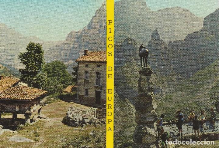 Postales: N&ordm; 29494 POSTAL LEON MIRADOR DEL TOMBO
