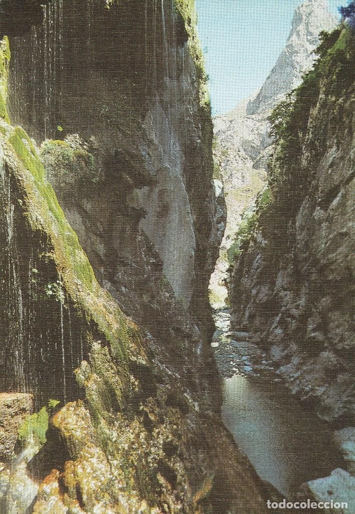 Postales: N&ordm; 29484 POSTAL RIO CARES LEON PICOS DE EUROPA