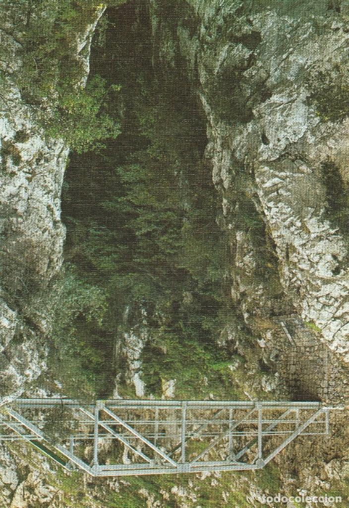 Postales: N&ordm; 29483 POSTAL DESFILADERO RIO CARES LEON