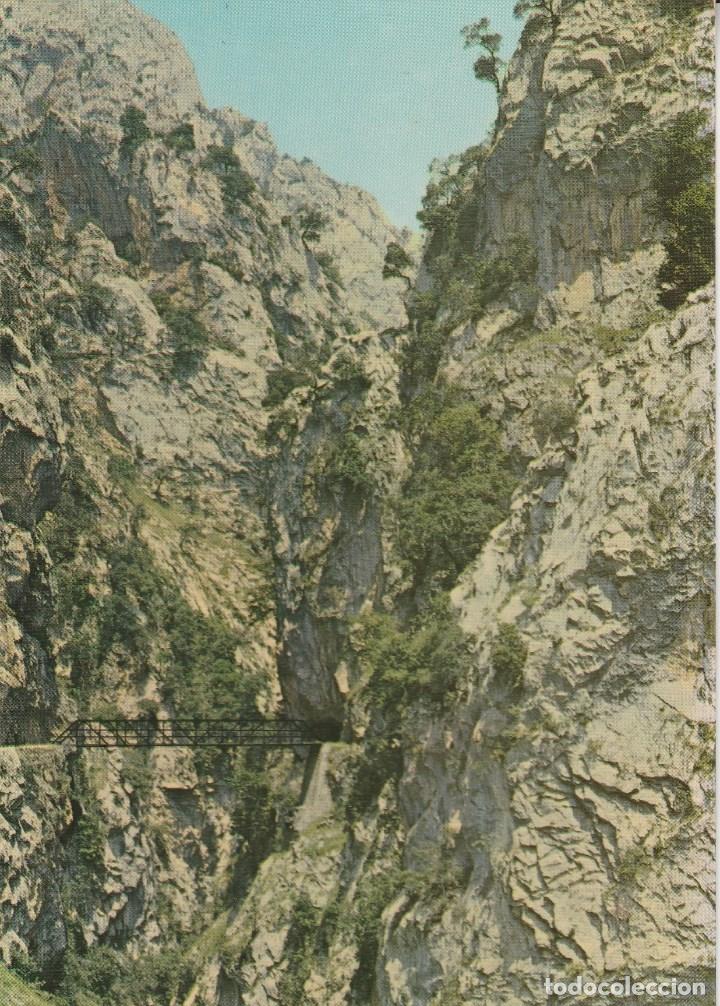 Postales: N&ordm; 29480 POSTAL CAIN LEON