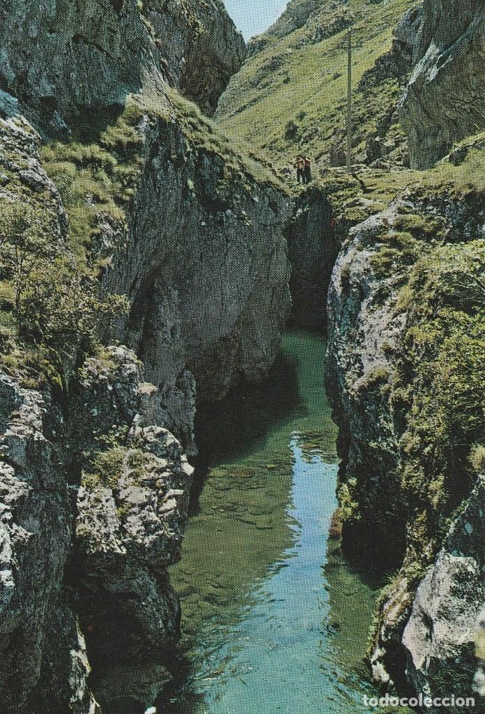 Postales: N&ordm; 29463 POSTAL LOS PONTEDOS LEON