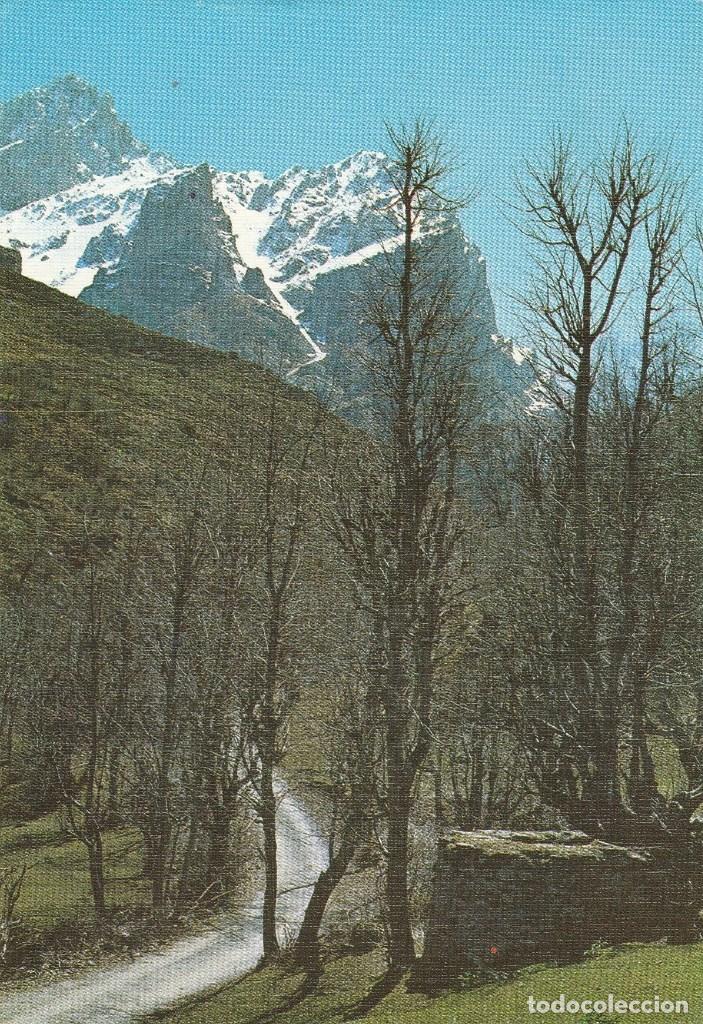 Postales: N&ordm; 29459 POSTAL CHORCO DE LOS LOBOS LEON PICOS DE EUROPA