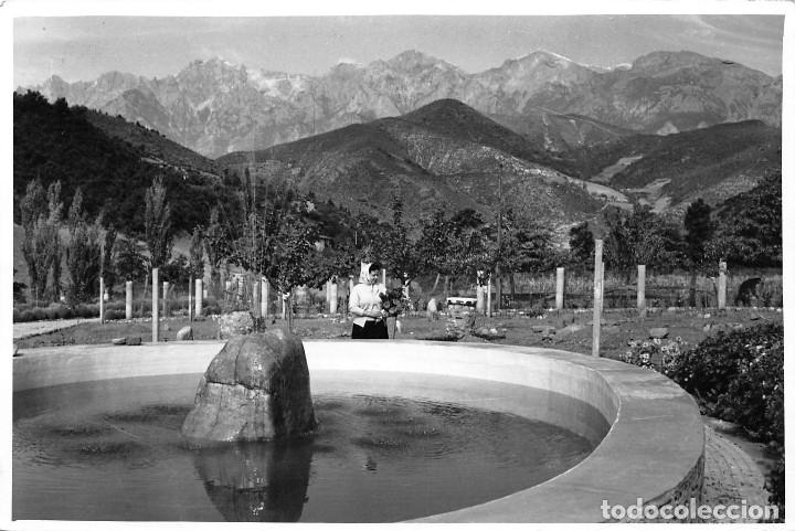 Postales: LOS PICOS DE EUROPA DESDE FRAMA-A&Ntilde;O 1960- MEDIDAS 17,5 X 12 CMS