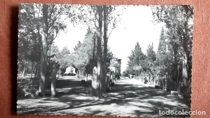Postales: POSTAL CANDELARIO - EL PARQUE