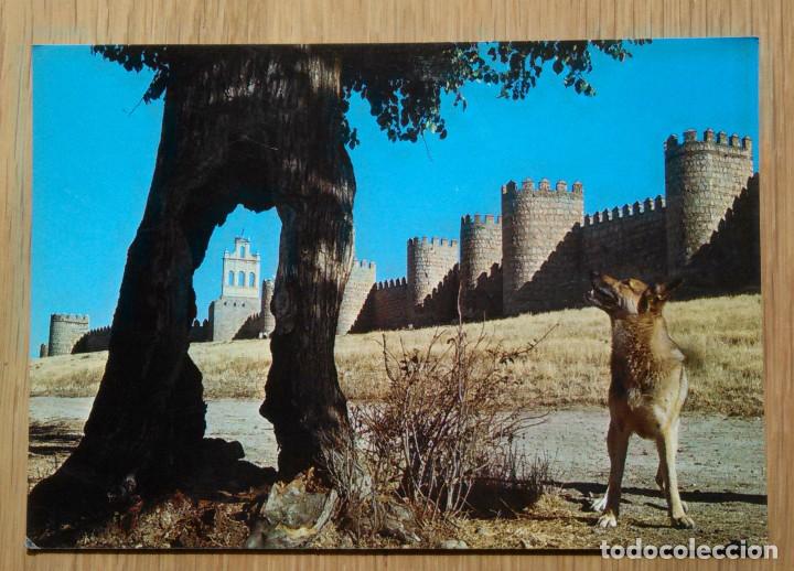 Postales: AVILA - MURALLAS - CON PUBLICIDAD CONFITERIA ISELMA