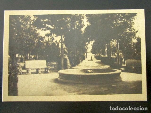 Postales: POSTAL &Aacute;VILA. AREVALO. PARQUE. - Foto 1