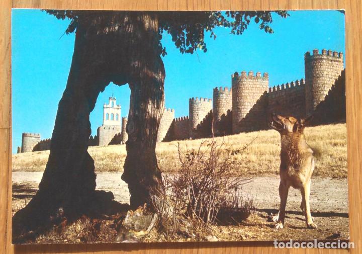 Postales: AVILA - CON PUBLICIDAD DE CONFITERIAS ISELMA