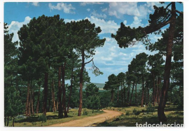 Postales: postal navas del marques, Avila - Foto 1