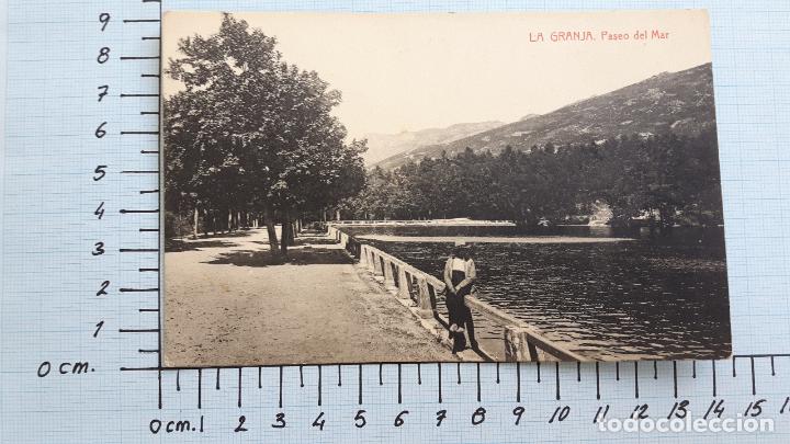Postales: Segovia. La Granja, Paseo del Mar. - Foto 1