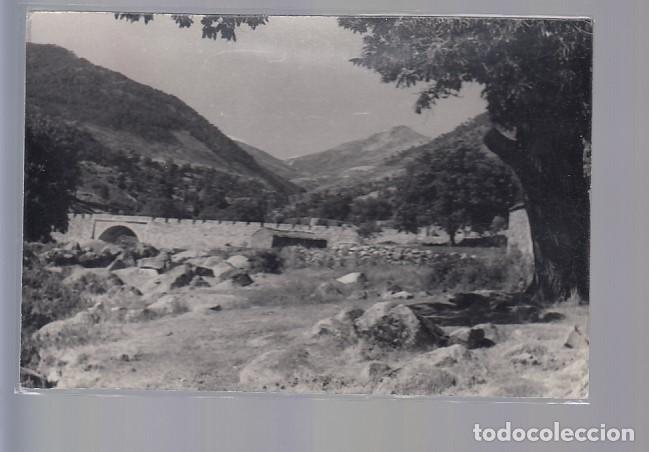 Postales: PEDRO BERNARDO (AVILA).-