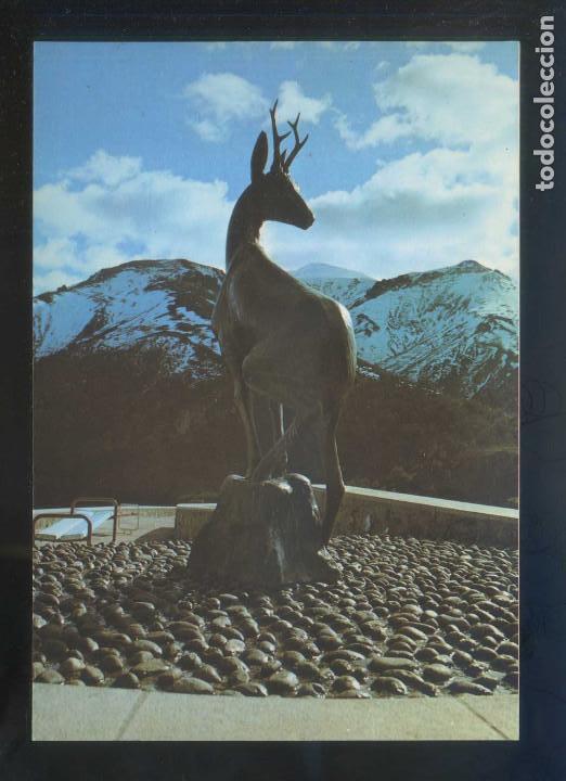 Postales: Picos de Europa. Puerto de San Glorio. *Mirador del Corzo* Ed. Everest - Lib. Sandi n&ordm; 33. Nueva.