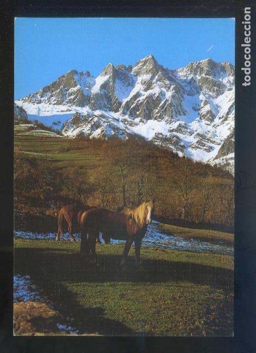 Postales: Picos de Europa. *El Jiso - Prao Cort&eacute;s...* Ed. Foto Sandi n&ordm; 50. Superficie gofrada. Nueva.