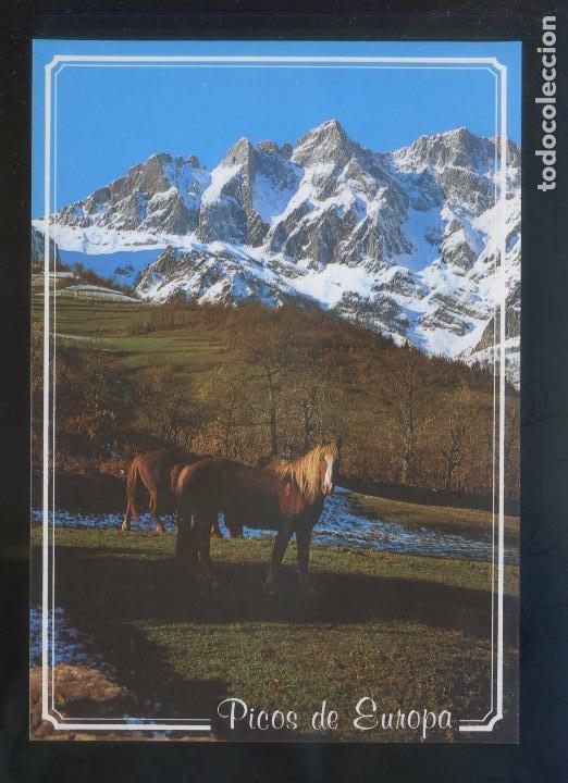Postales: Picos de Europa. *El Jiso - Prao Cort&eacute;s...* Ed. Foto Sandi n&ordm; 50. Nueva.