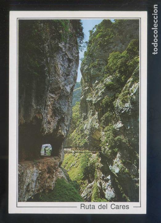 Postales: Picos de Europa. *Desfiladero del R&iacute;o Cares...* Ed. Foto Sandi. Nueva.