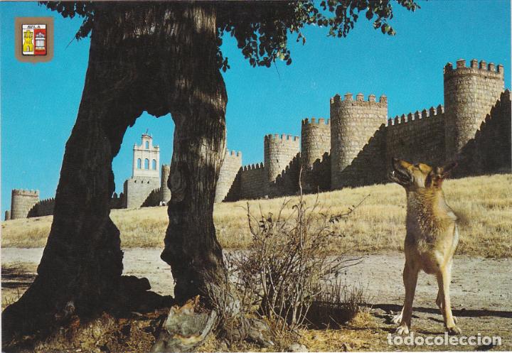 Postales: avila, murallas