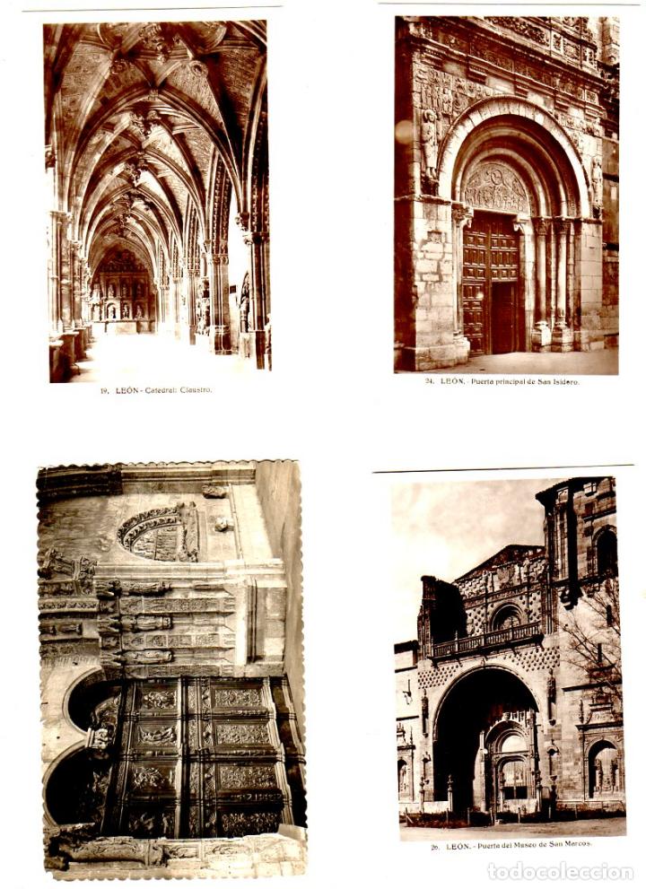 Postcards: LOTE DE 5 POSTALES DE LEON. VER FOTOS ADICIONALES.