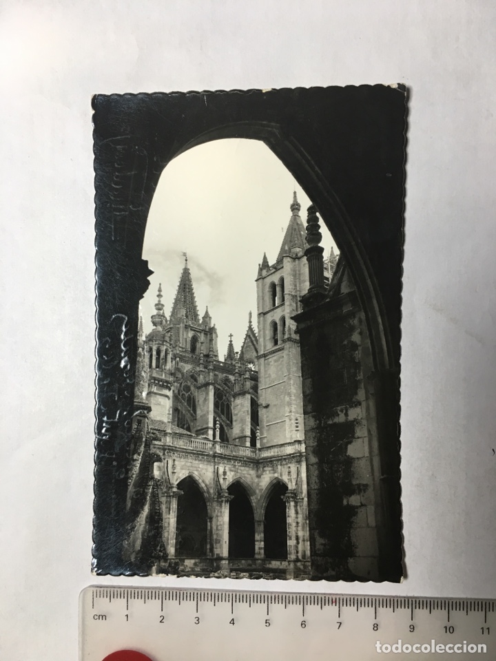 Postales: POSTAL. LEON. CATEDRAL. CLAUSTRO. EDIC. LUJO. H. 1950?.