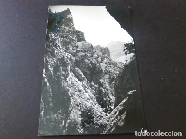 Postales: RIA&Ntilde;O LEON PUERTO DEL PONTON - Foto 1