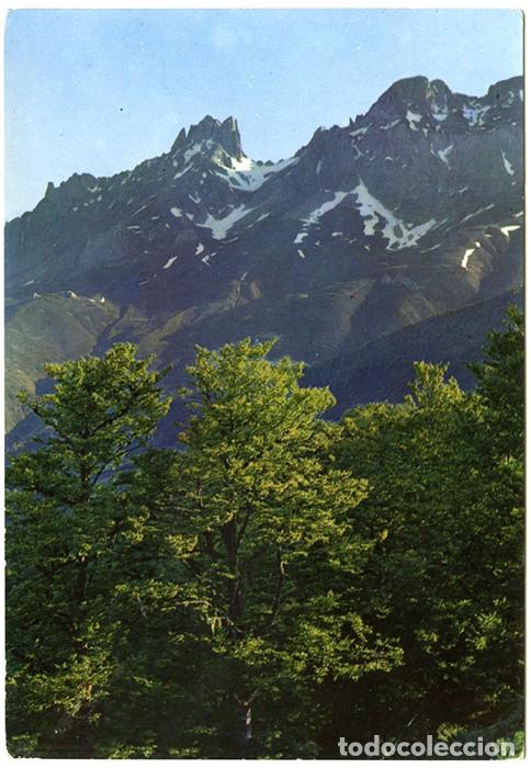 Postales: N&ordm; 20 - PICOS DE EUROPA. Cantabria. Valle de Valde&oacute;n. Escrita en 1968. Ed. SICILIA.
