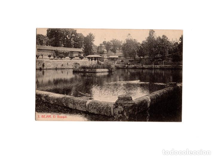 Postales: B&Eacute;JAR.(SALAMANCA).- EL BOSQUE. - Foto 1