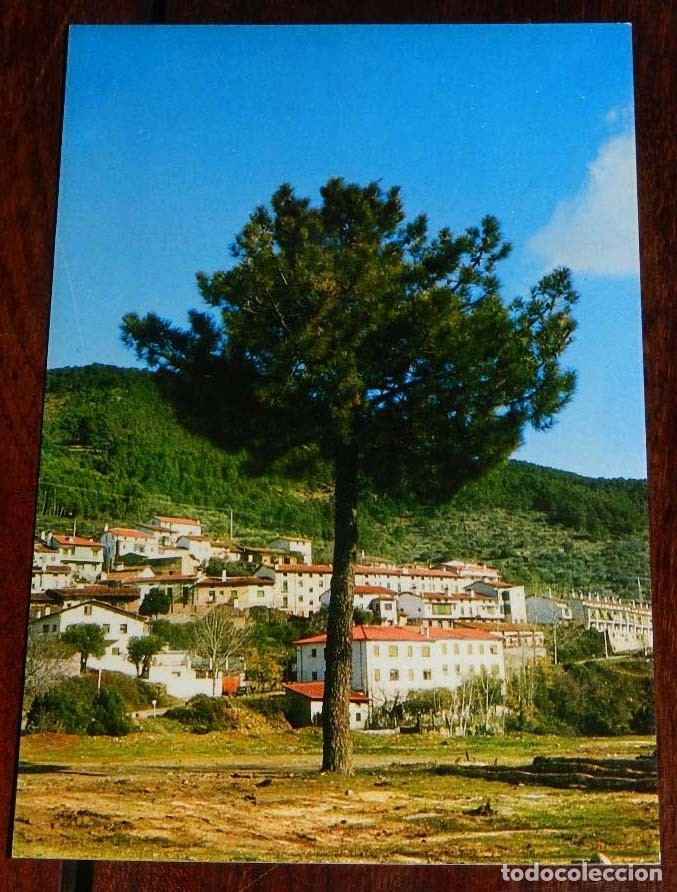 Postales: FOTO POSTAL DE GUISANDO (AVILA) VISTA GENERAL PINOS Y CIELO, RUAN S.A.., SIN CIRCULAR