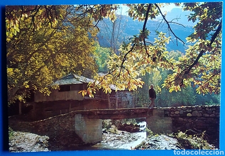 Postales: Postal 45 leon paisaje del bierzo ed arribas