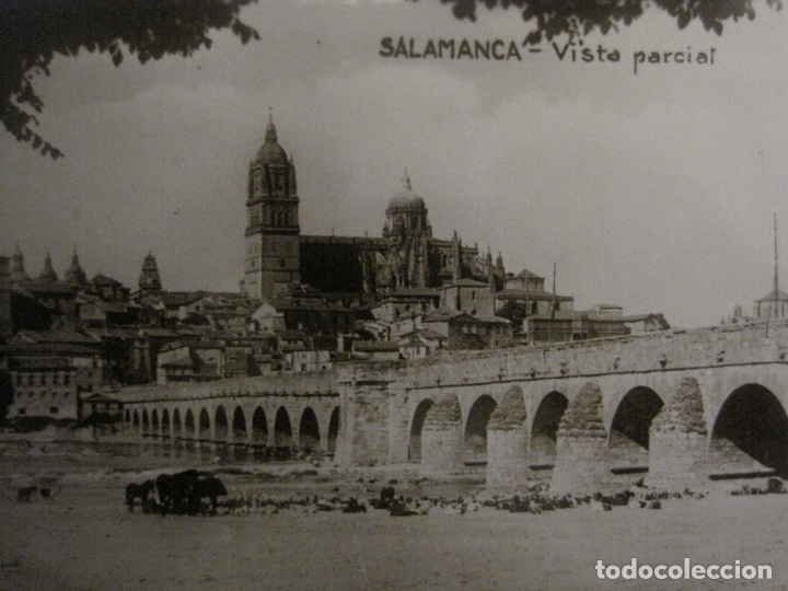 Salamanca vista Parcial postal Fotografica ver Comprar Postales salamanca-vista-parcial-postal-fotografica-ver-comprar-postales