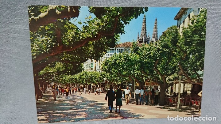 Postales: POSTAL PASEO DEL ESPOL&Oacute;N DE BURGOS CASTILLA Y LE&Oacute;N