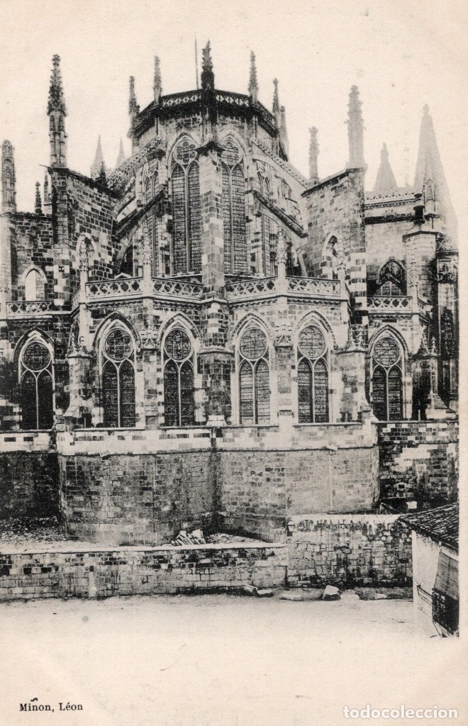Postales: le&oacute;n. minon - Foto 1