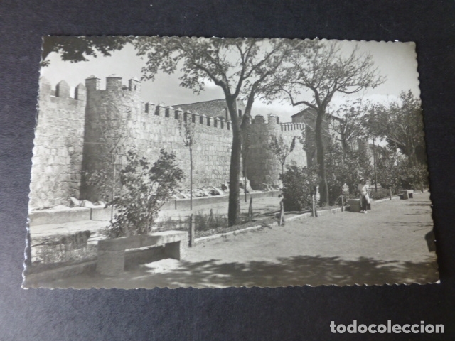 Postales: AVILA JARDINES DEL PASEO DEL RASTRO
