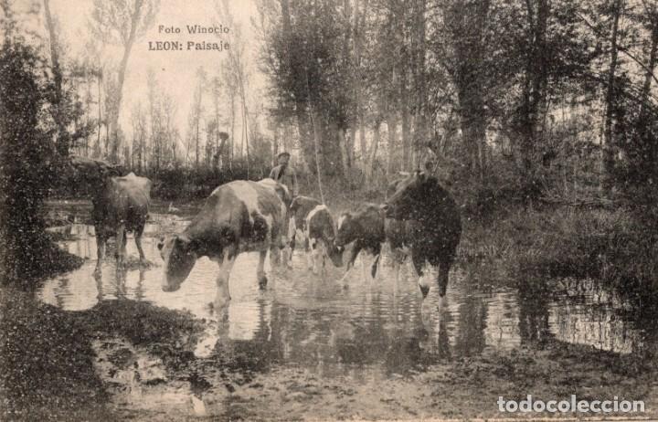 Postales: le&oacute;n. paisaje - Foto 1