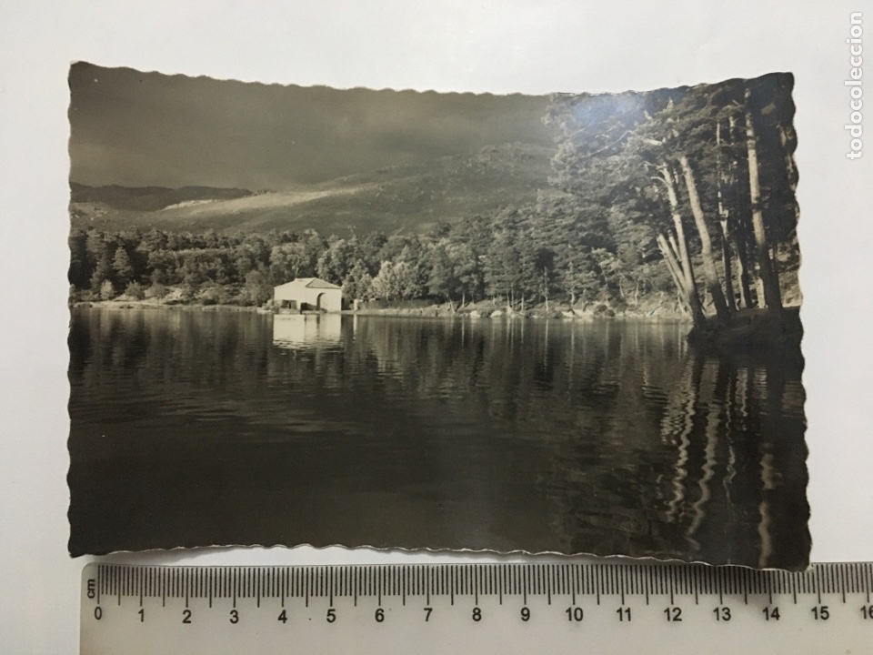 Postales: POSTAL. LA GRANJA DE SAN ILDEFONSO. EL MAR GRANDE. PATRIMONIO NACIONAL. H. 1950?.