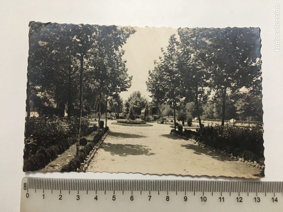 Postales: POSTAL. LEON. JARDINES DE LA CONDESA DE SAGASTA. EDIC. ARRIBAS. H. 1960?.
