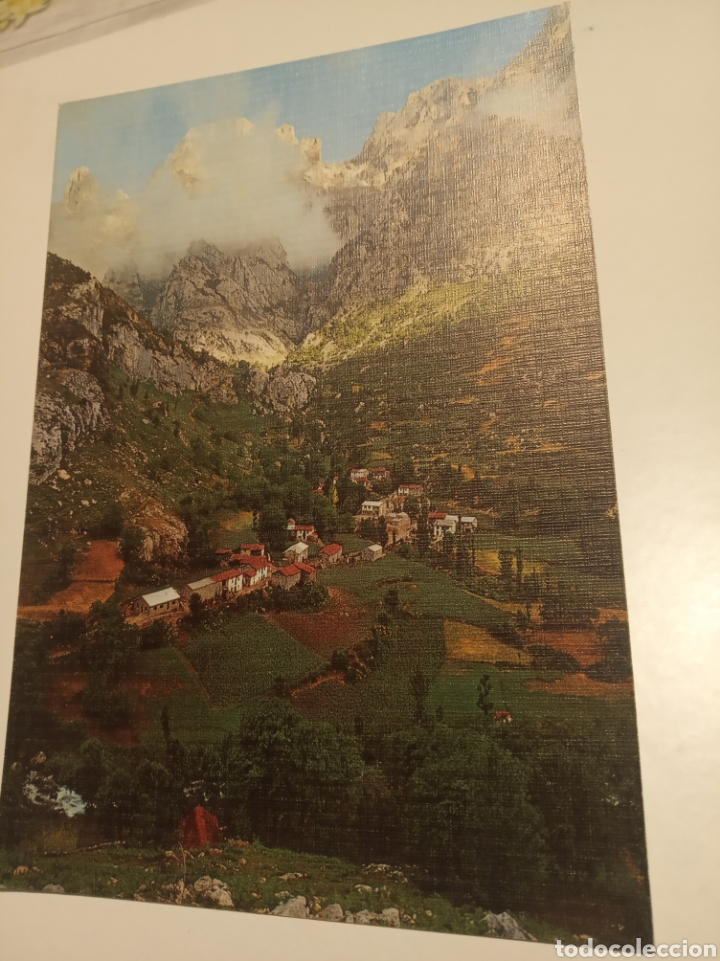 Postales: Ca&iacute;n, Le&oacute;n - Foto 1