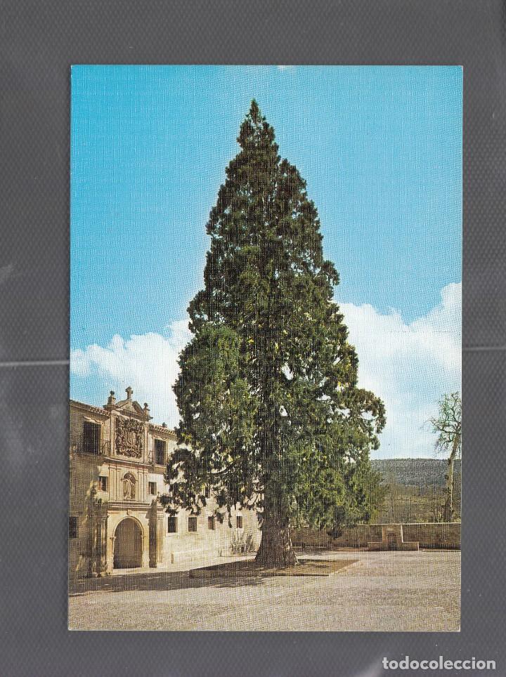 Postales: N&ordm; 1 ABADIA DE SANTO DOMINGO DE SILOS. FACHADA OCCIDENTAL Y SECOYA