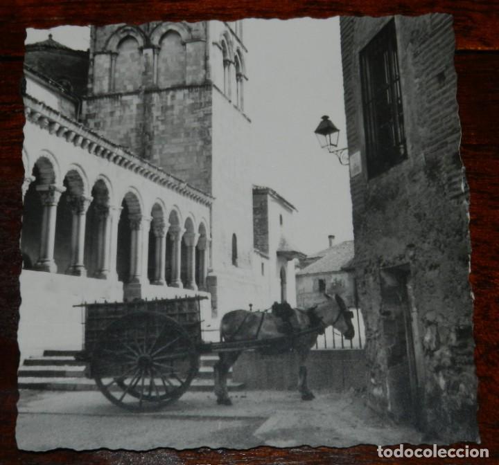 Postales: FOTOGRAFIA DE SEGOVIA, BURRO, MIDE 9 X 9 CMS.