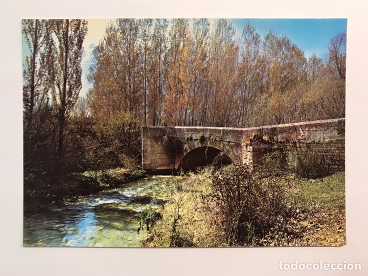 Postales: RIAZA (Segovia) Postal No.8, Puente Nuevo y Camino de Hontanares, Edic. H.A.E (a.1967) S/C