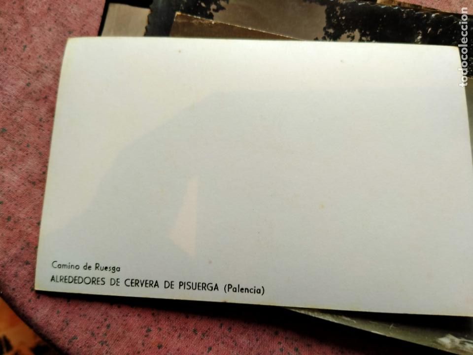 Postales: postal palencia castilla y leon - Foto 2