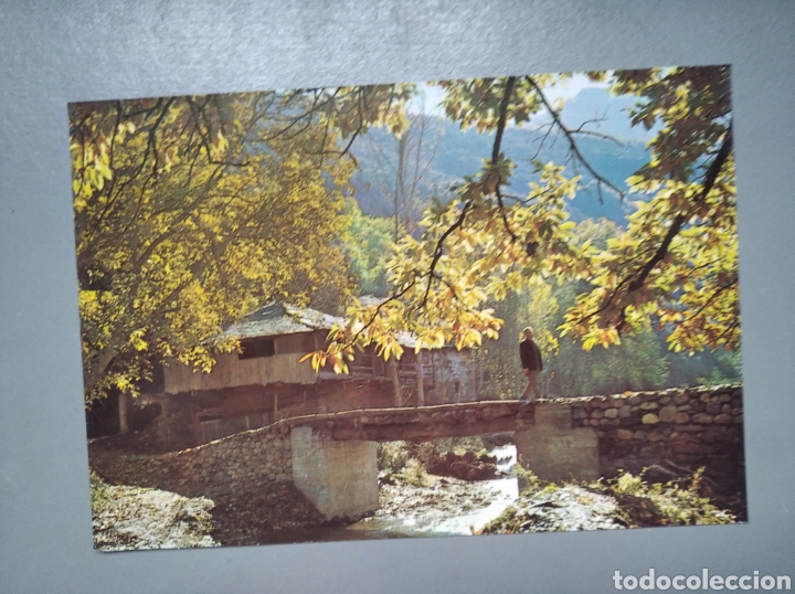 Postales: Postal 45 leon paisaje del bierzo ed arribas