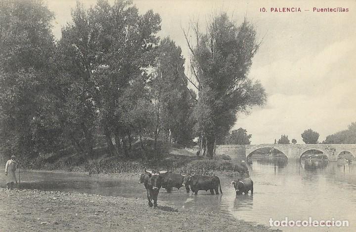 Postales: Postal de Palencia, Puentecillas - Foto 1