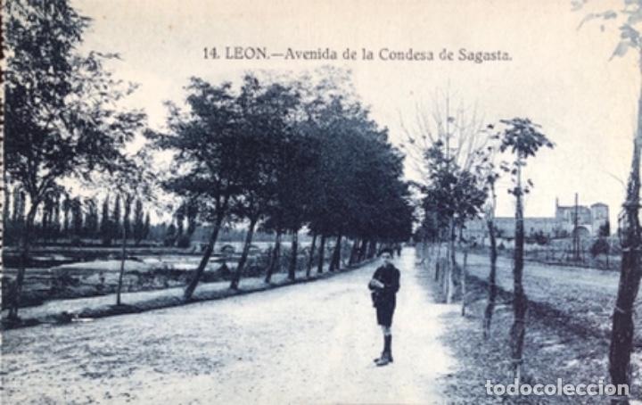 Postales: Postal de Leon